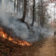 Image: John Bazemore/Associated Press